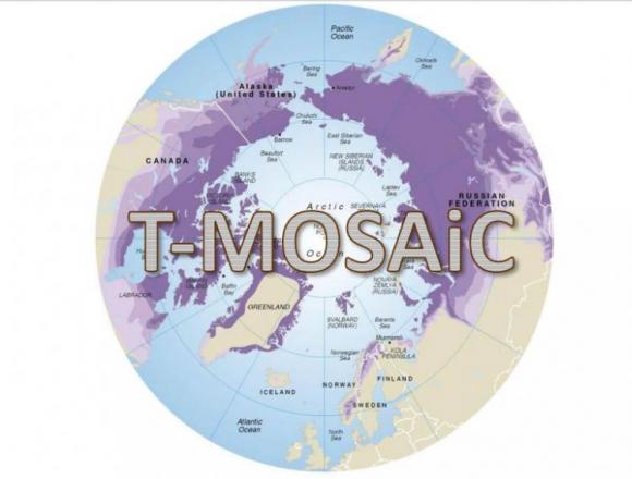 Ученый из Томска стал участником международного арктического проекта T-MOSAiC